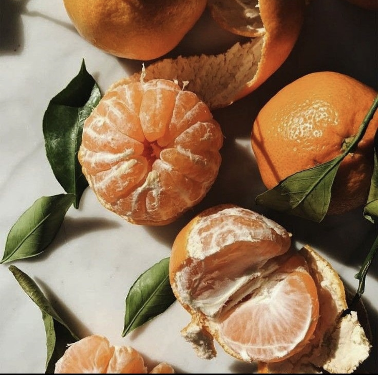 فروش نارنگی ژاپنی