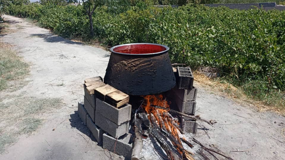 فروش رب گوجه فرنگی