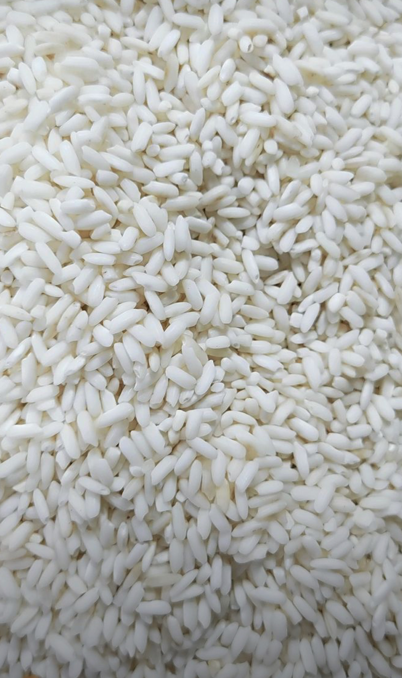فروش برنج طارم هاشمی