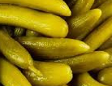 فروش خیار شور ویژه