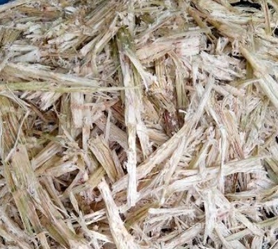 فروش باگاس نیشکر