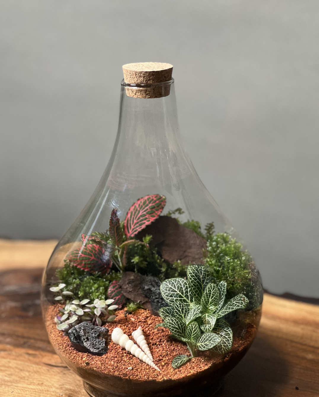 فروش گلهای مرطوب وتراریوم