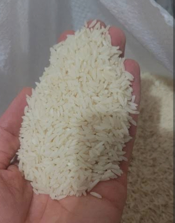 فروش برنج