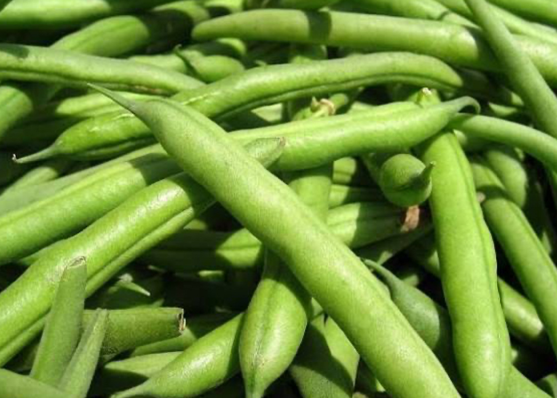 فروش لوبیا سبز