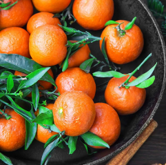 فروش نارنگی