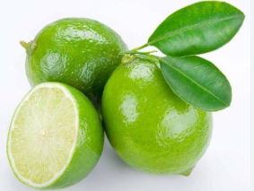 فروش لیمو ترش