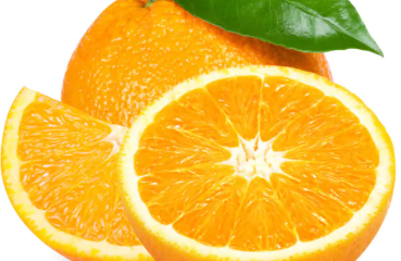 فروش پرتقال