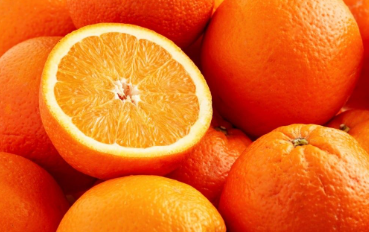 فروش پرتقال