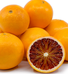 فروش پرتقال خونی