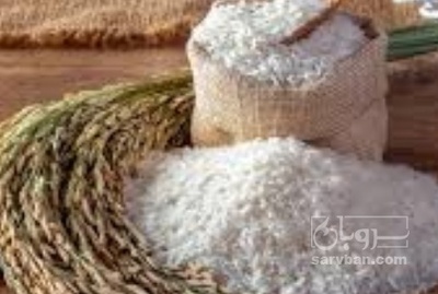 فروش برنج طارم