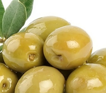 فروش زیتون رویال