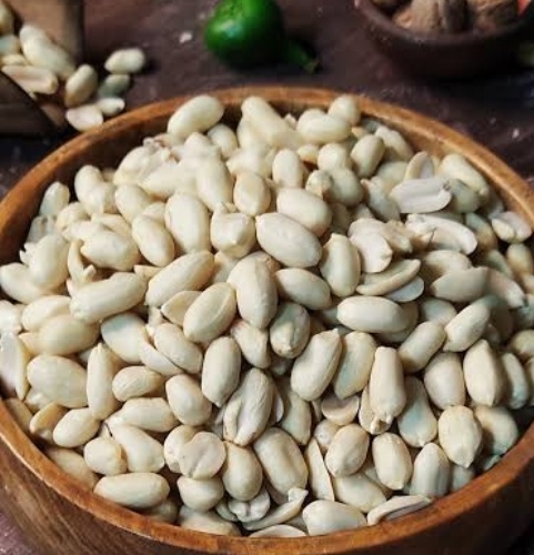 فروش بادام زمینی کره گیری