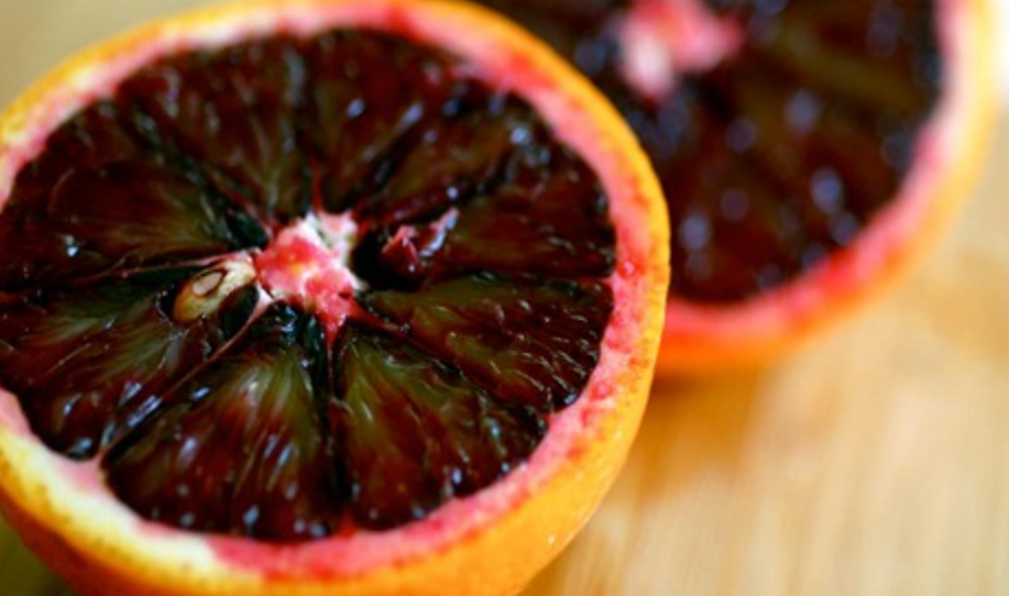 فروش پرتقال خونی