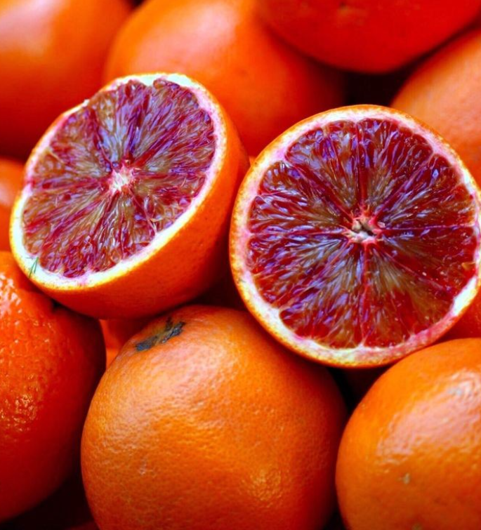 فروش پرتقال خونی