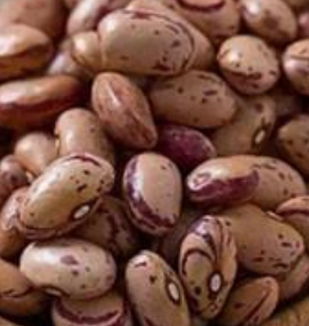 فروش لوبیا چیتی