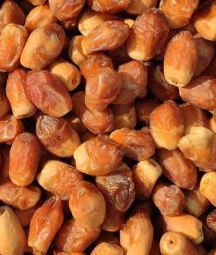 فروش خرما زاهدی