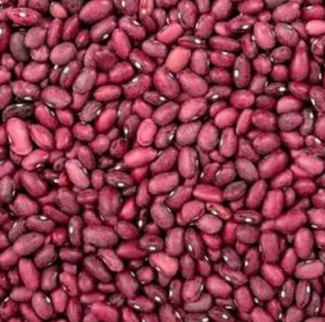 فروش لوبیا چیتی