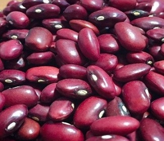 فروش لوبیا قرمز