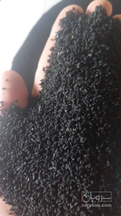 فروش  سیاه دانه