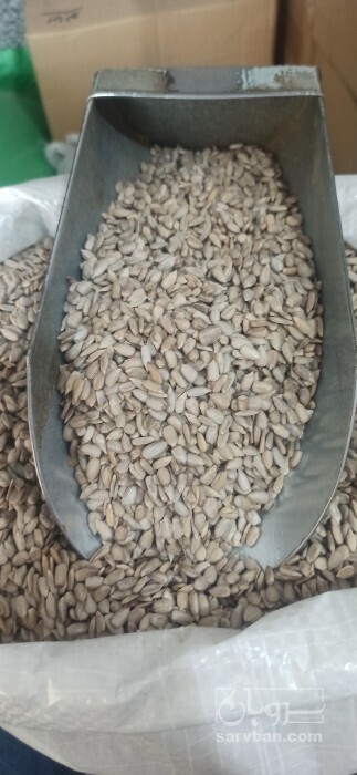 فروش مغز تخمه آفتابگردان بود داده