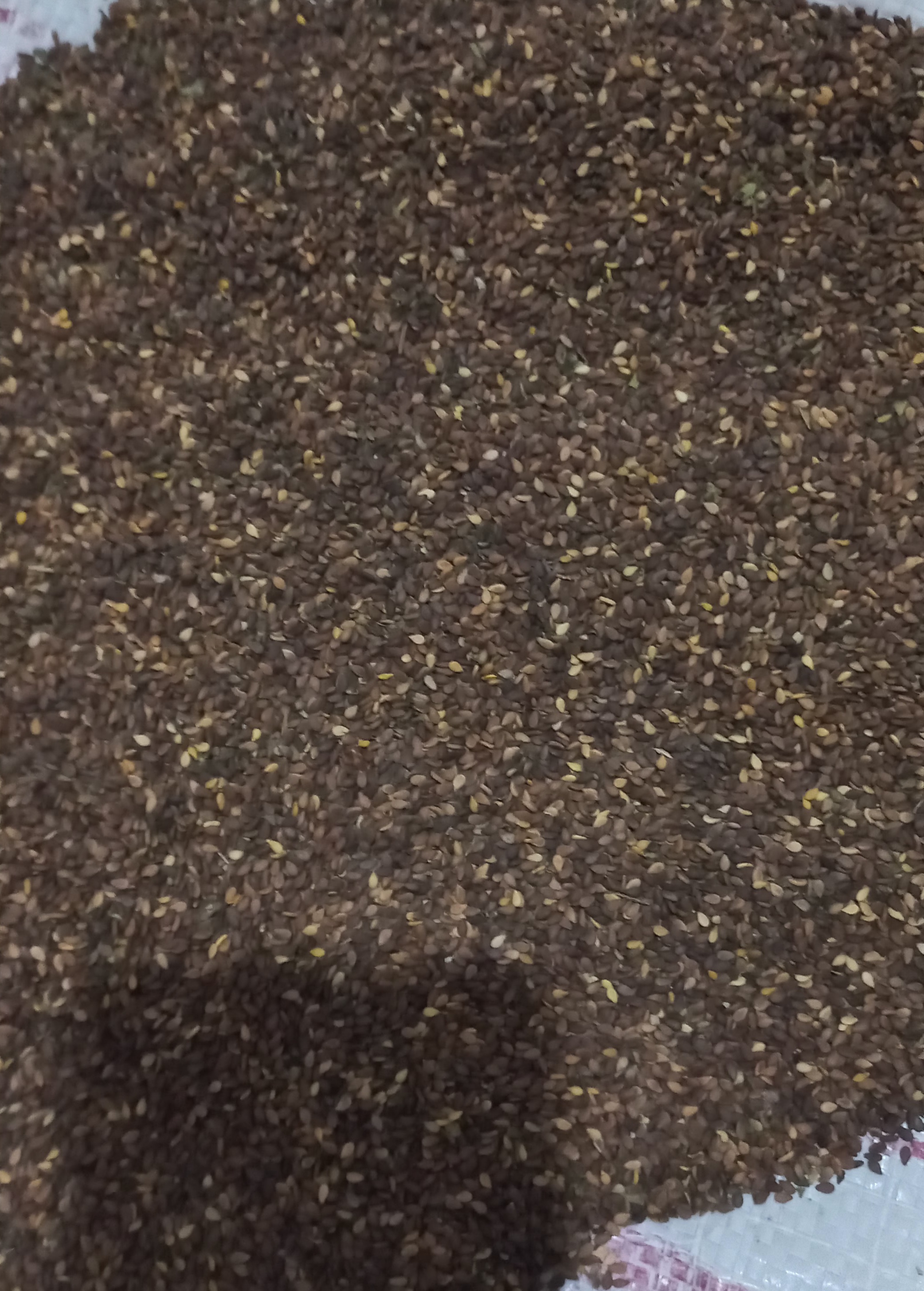 فروش کنجد  قهوه ای