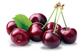 فروش آلبالو