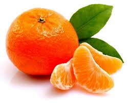 فروش نارنگی