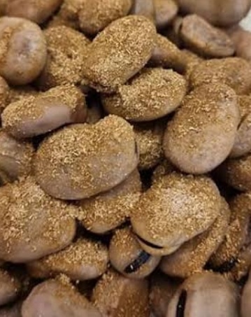 فروش باقلا تازه - باقالی - باقالا