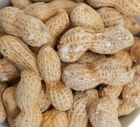 فروش بادام زمینی با قلاف شور