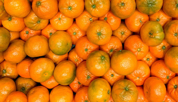 فروش نارنگی