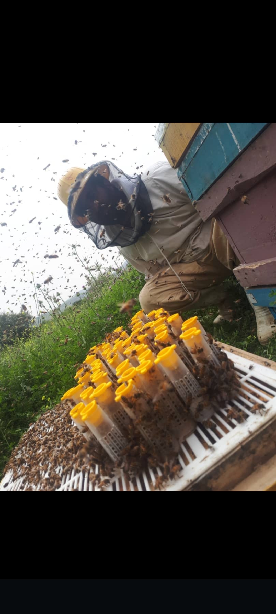 فروش انواع عسل