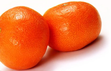 فروش نارنگی