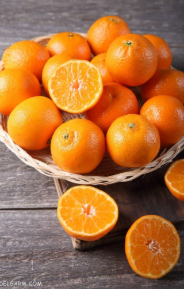 فروش پرتقال