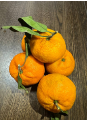 فروش نارنگی انشو