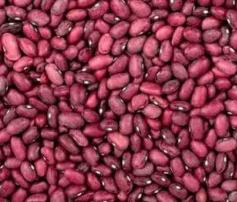 فروش لوبیا قرمز