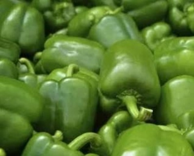 فروش فلفل دلمه ای