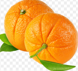 فروش پرتقال