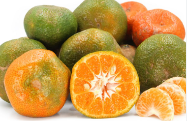 فروش نارنگی