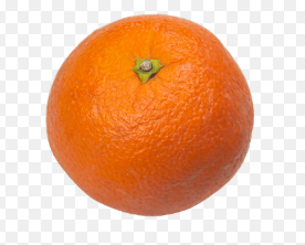 فروش پرتقال