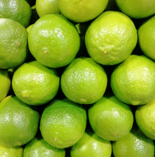 فروش لیمو ترش