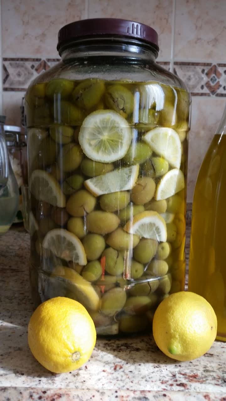 فروش زیتون شور