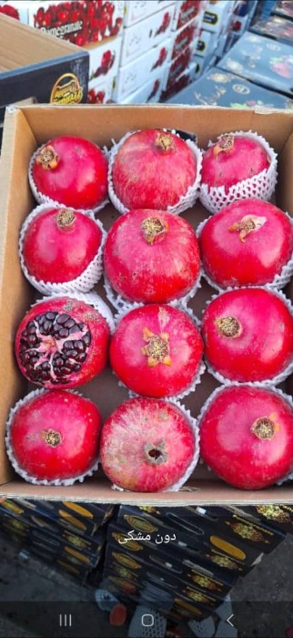 فروش انار