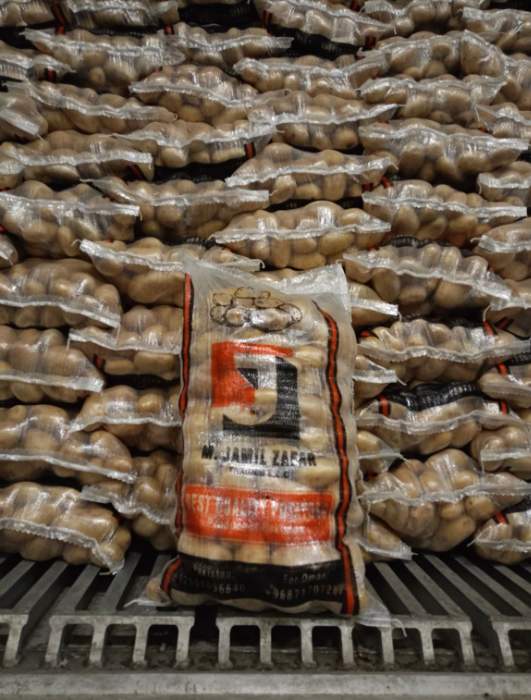 فروش سیب زمینی