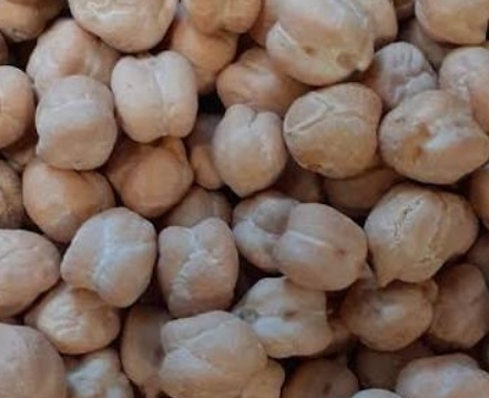 فروش نخود سفید