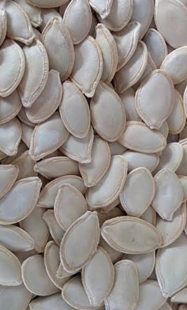 فروش تخمه  کدو بو داده