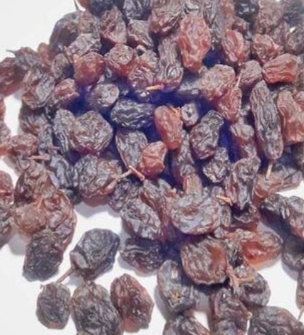 فروش کشمش افتابی