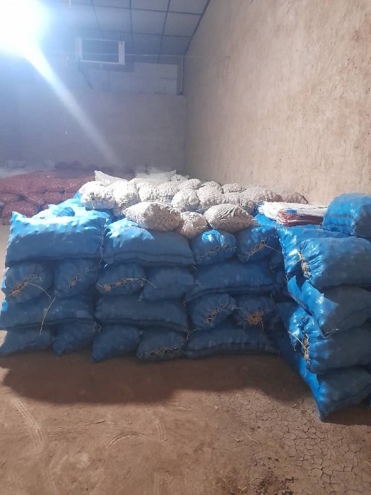 فروش سیب زمینی