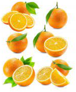 فروش پرتقال