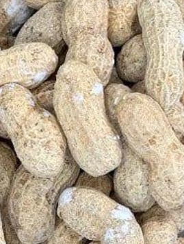 فروش بادام زمینی با قلاف