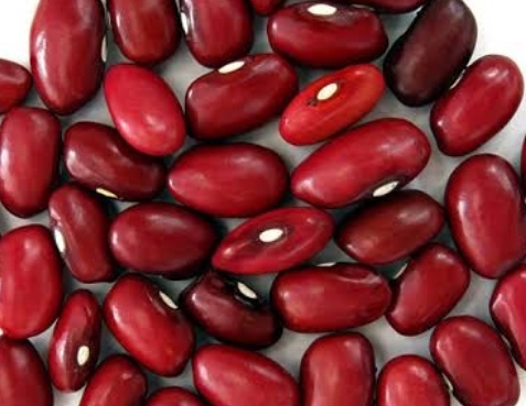 فروش لوبیا قرمز